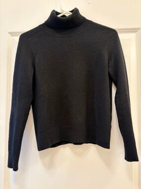 Quince Black Mongolian Cashmere Turtleneck Sweater
